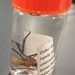 Brown Recluse Spider- Loxosceles reclusa in 3 dram vial