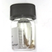 Corydalidae larva in 1/2 dram vial of alcohol