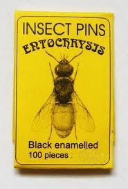 Entochrysis black mounting insect pins 100 pcs size 7 large tropical insects bug 
