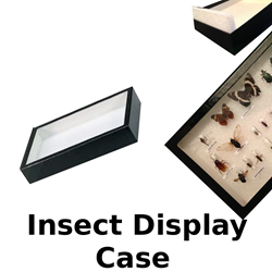 Insect Display Case 