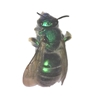Metallic Green Bee 