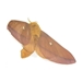 Anisota stigma - Spiny Oakworm Moth