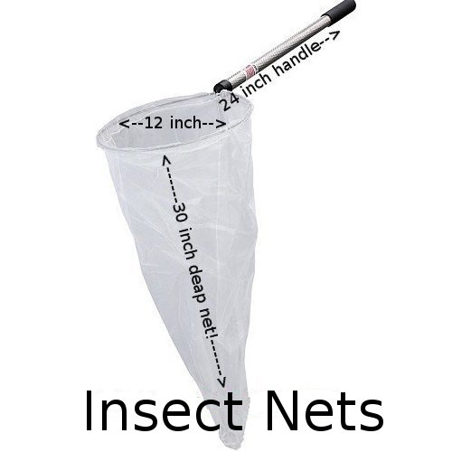 Student insect net